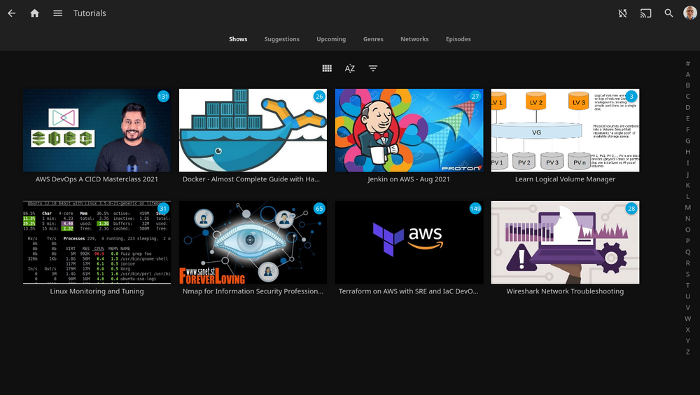 Jellyfin media server on Turnkey Linux LXD container